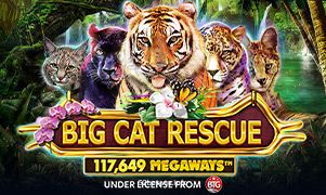Imagem do jogo Big Cat Rescue Megaways no 52bet